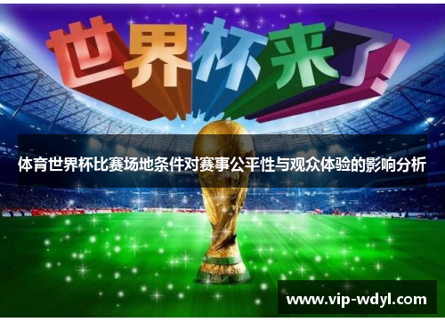 体育世界杯比赛场地条件对赛事公平性与观众体验的影响分析 体育世界杯比赛场地条件对赛事公平性与观众体验的影响分析