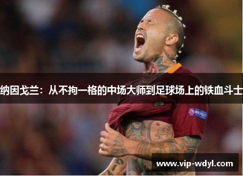 纳因戈兰:从不拘一格的中场大师到足球场上的铁血斗士 纳因戈兰:从不拘一格的中场大师到足球场上的铁血斗士