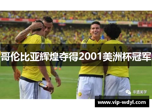 哥伦比亚辉煌夺得2001美洲杯冠军 哥伦比亚辉煌夺得2001美洲杯冠军