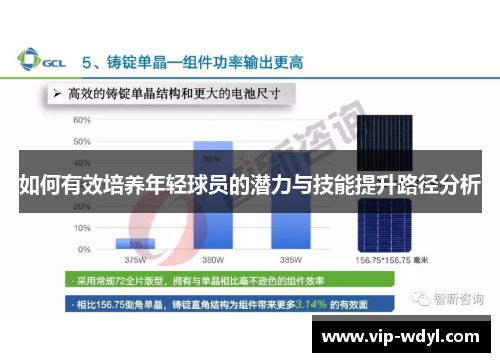 如何有效培养年轻球员的潜力与技能提升路径分析 如何有效培养年轻球员的潜力与技能提升路径分析