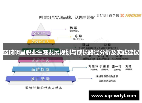 篮球明星职业生涯发展规划与成长路径分析及实践建议