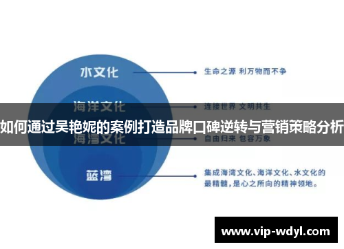 如何通过吴艳妮的案例打造品牌口碑逆转与营销策略分析 如何通过吴艳妮的案例打造品牌口碑逆转与营销策略分析