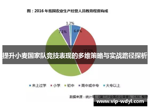 提升小麦国家队竞技表现的多维策略与实战路径探析