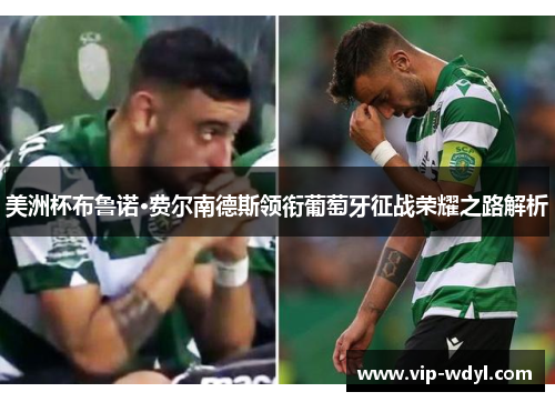 美洲杯布鲁诺·费尔南德斯领衔葡萄牙征战荣耀之路解析 美洲杯布鲁诺·费尔南德斯领衔葡萄牙征战荣耀之路解析