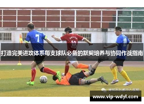 打造完美进攻体系每支球队必备的默契培养与协同作战指南 打造完美进攻体系每支球队必备的默契培养与协同作战指南