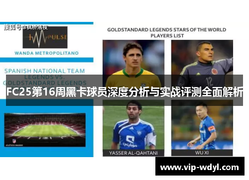 FC25第16周黑卡球员深度分析与实战评测全面解析