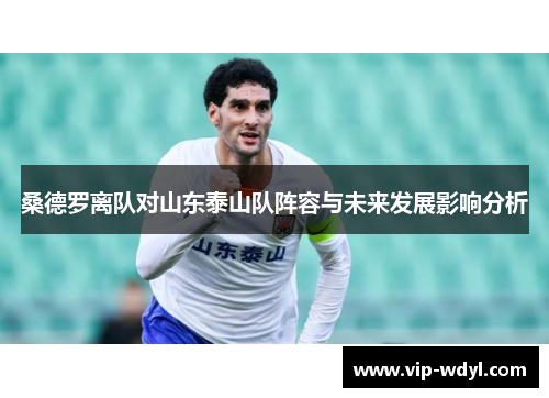 桑德罗离队对山东泰山队阵容与未来发展影响分析