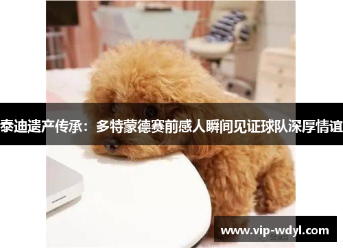 泰迪遗产传承：多特蒙德赛前感人瞬间见证球队深厚情谊