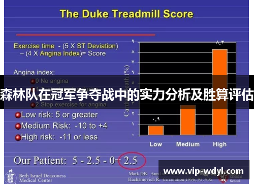 森林队在冠军争夺战中的实力分析及胜算评估 森林队在冠军争夺战中的实力分析及胜算评估