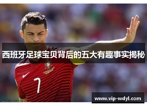 西班牙足球宝贝背后的五大有趣事实揭秘