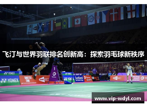 飞汀与世界羽联排名创新高：探索羽毛球新秩序