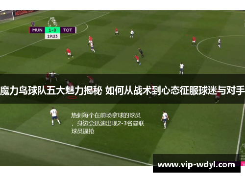 魔力鸟球队五大魅力揭秘 如何从战术到心态征服球迷与对手 魔力鸟球队五大魅力揭秘 如何从战术到心态征服球迷与对手