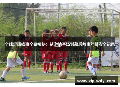 全球足球盛事全景揭秘：从激情赛场到幕后故事的精彩全记录