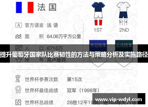 提升葡萄牙国家队比赛韧性的方法与策略分析及实施路径